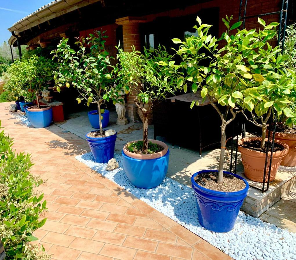 Villa Antares Pesaro Ngoại thất bức ảnh